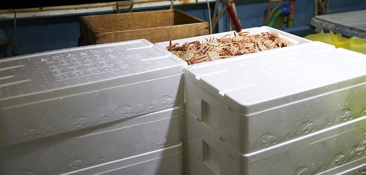 求問毒理未來的前景在何方 ?關(guān)于第三檢測行業(yè)，食品檢測、消費(fèi)品檢測和環(huán)境檢測，業(yè)務(wù)的開發(fā)方向有什么差異。 