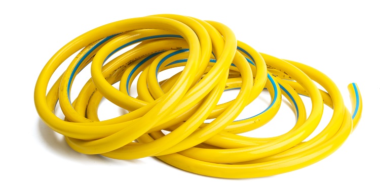 有沒有一種簡(jiǎn)易的方法可以檢測(cè)普通病毒細(xì)菌的多少 比如試紙的方式?病毒學(xué)檢驗(yàn)重點(diǎn)