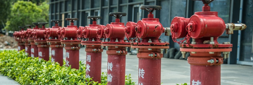 于化妝品功效評(píng)價(jià)的皮膚細(xì)胞類型介紹?《化妝品功效宣稱評(píng)價(jià)指導(dǎo)原則》起草說(shuō)明