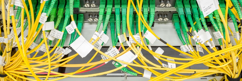 公共衛(wèi)生考研，這是最好的時(shí)期！！！?【2022為民實(shí)事系列評論】筑牢公共衛(wèi)生防護(hù)網(wǎng)，是須臾不可放松的大事 健明迪檢測