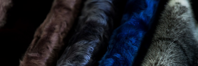 毛皮抗張強(qiáng)度試驗