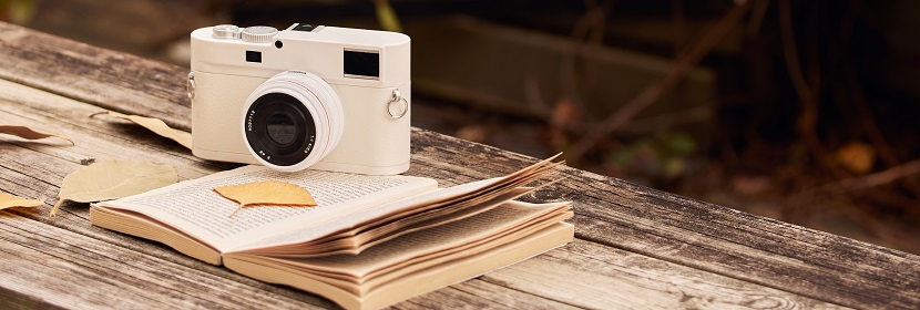 結核分枝桿菌感染樹鼩模型