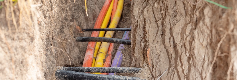 丁二酸檢測(cè)