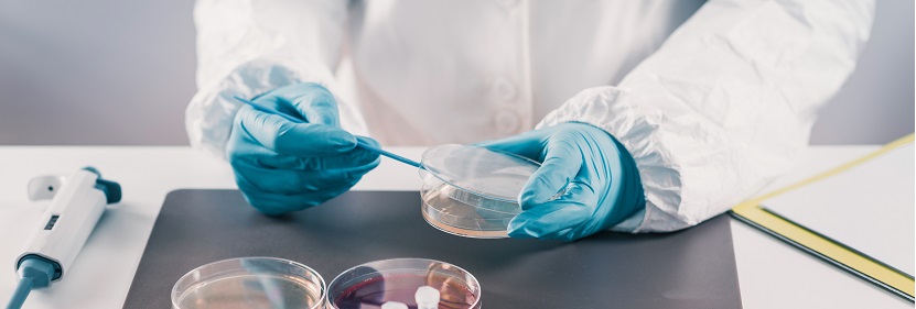 扶手檢測報(bào)告