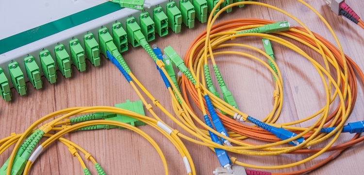 結(jié)核桿菌檢測