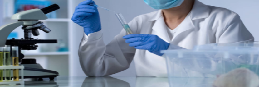 體外細(xì)胞毒性試驗