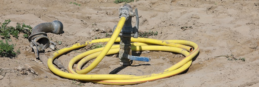 浮萍生長抑制試驗(yàn)