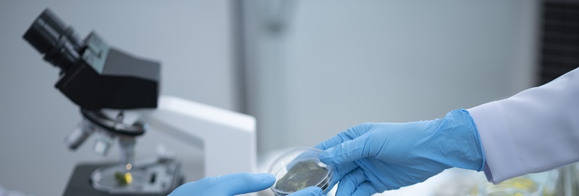 擠出聚丙烯發泡片材檢測